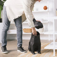 Load image into Gallery viewer, Max Storage Lid Open - Open lid view of Max, emphasizing its spacious storage.- Abstract Home Art
